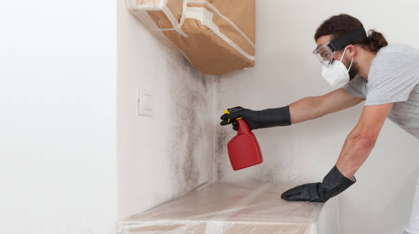 Professional Mold Cleanup technician working in Ocean Beach, NY